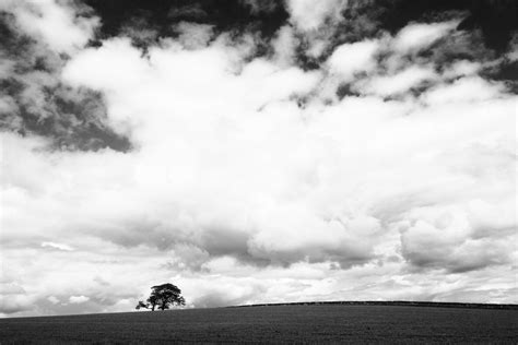 Free Images Landscape Tree Mountain Cloud Black And White Sky