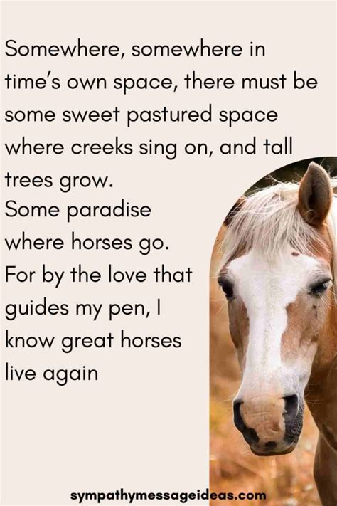 39 Moving Loss Of Horse Quotes Sympathy Message Ideas