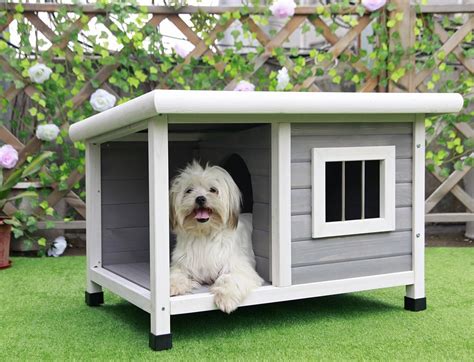 Petsfit Outdoor Wooden Dog House For Small Dogs Light