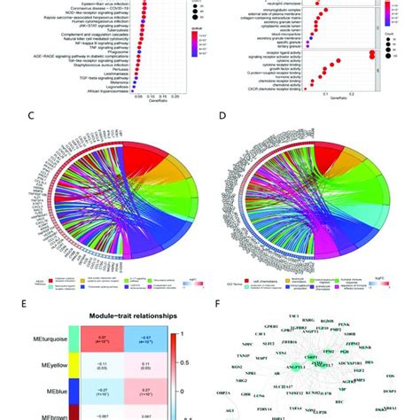 gsea of immune related differentially expressed genes ideg a top download scientific