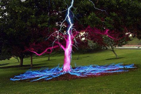 Long Exposure Photo Of A Lightning Bolt Hitting A Tree Woahdude