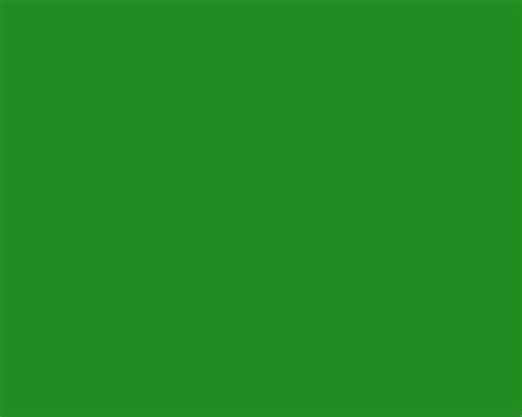 Color Green Effy Moom