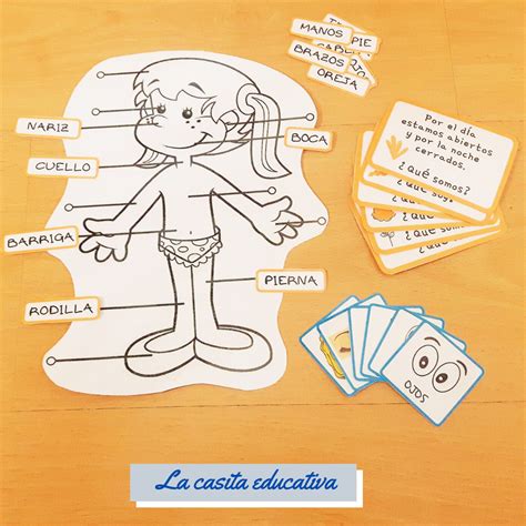 👩‍🎓 Cuerpo Humano Inicial ️ La Casita Educativa