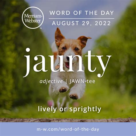 Word Of The Day Jaunty In 2022 Word Of The Day Words Vocabulary