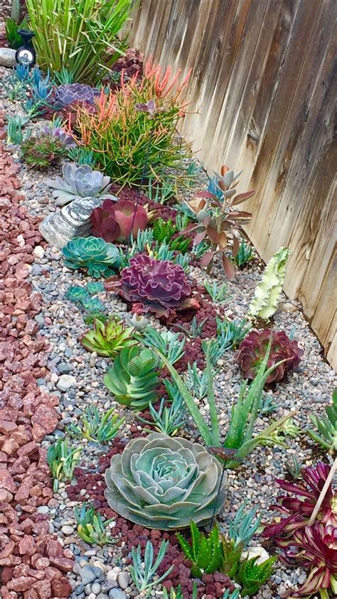 26 Best Succulent Garden Suggestions All Over The World