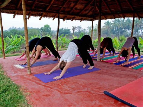 7 Day Natural Cleansing Detox And Yoga Retreat In Mysore