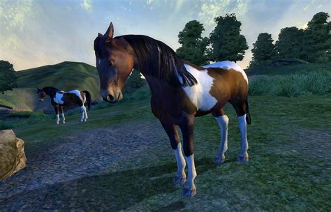 Pretty cartoon horse or pony drawing for beginners. Wild Paint Horse | Elder Scrolls | FANDOM powered by Wikia