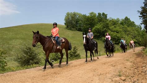 Five Oaks Riding Stables Dubbys Attractions