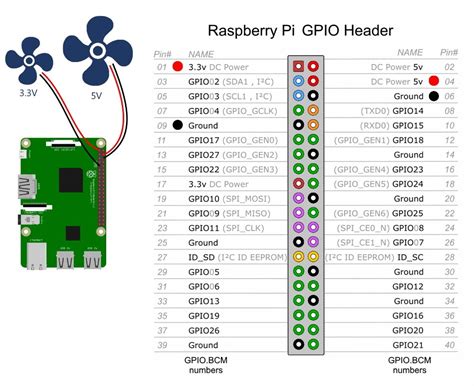 Ghapok Ghacheng How To Connect Wires To Gpio Pins Thoughts