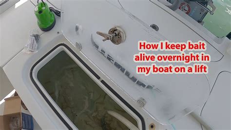I admit that keeping your worms alive for your next fishing journey is challenging because they only have a limited life span. How I keep my bait alive overnight in my boat (without ...