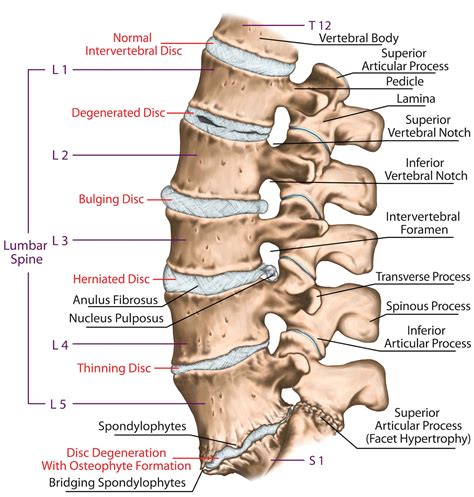 Degenerative Spine Disc Disorders Treatment Singapore