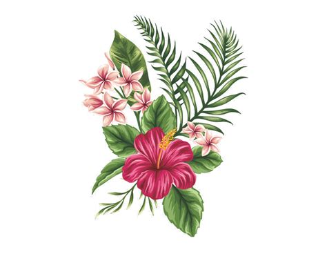 Dessin Fleur Design Couleur Png : tubes fleurs coquelicot | Coquelicot