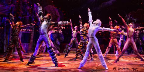 I made the tails and collars for it.and several of the unitards, most notably (betty buckley grizabella cats broadway)cats (stylized as cats) is a musical composed by andrew lloyd webber, based on old possum's book of. Cats Movie to Start Shooting in November; Wayne McGregor Signs On as Choreographer | Broadway ...