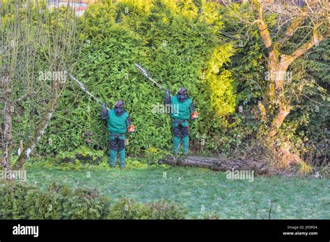 Hedge Trimmer Cable Hi Res Stock Photography And Images Alamy