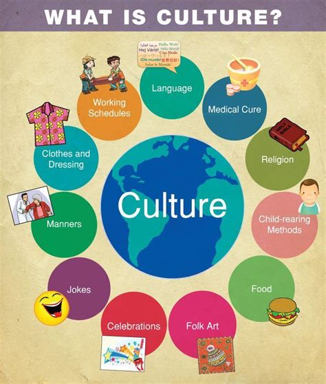 Educational Infographic Educational Infographic Culture Observation