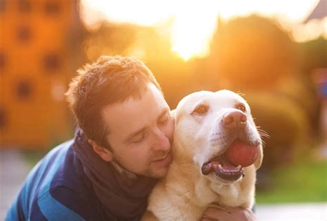5 Tips For Giving Your Dog A Healthy Lifestyle Pretty Opinionated