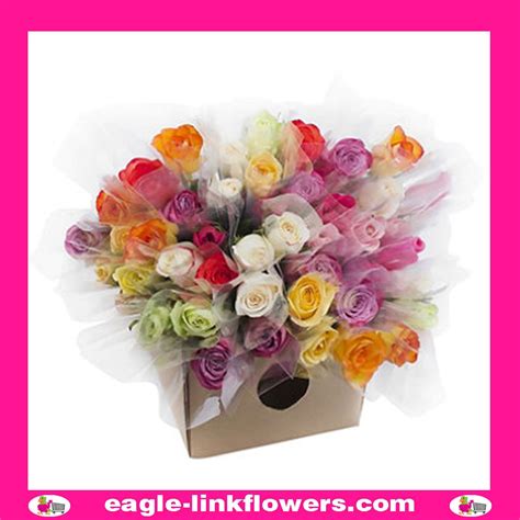 Single Roses Assorted Colours Bouquets Eagle Link Flowers