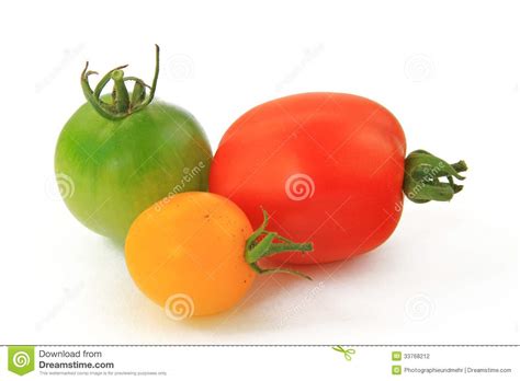 Three Tomato Varieties Stock Photography Image 33768212