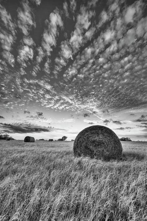 Black And White Sunset Of Texas Hay Bales 2 Photograph By Rob Greebon