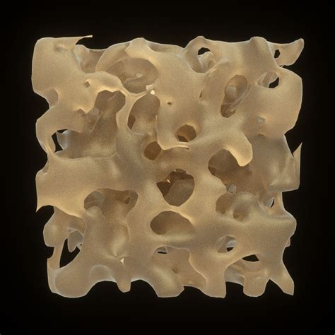 Sponge Spongy Bone Structure 3d Model 9 Stl Obj 3ds Fbx C4d