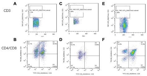 Umbilical Cord Mesenchymal Stem Cells Protect Thymus Structure And