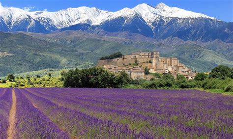 Provence, France : europe