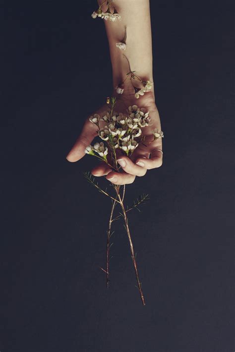 Decorated hand with flowers - Female hand holding flowers over dark