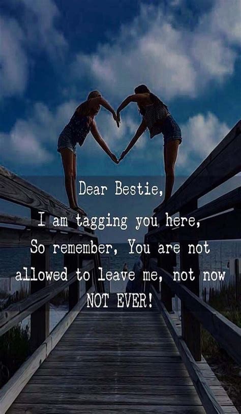 you are not allowed to leave me friends forever quotes friendship