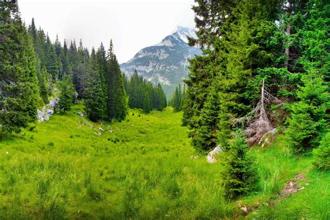 Imagini De Fundal 2700x1800 Px Iarbă Munte Natură Copaci