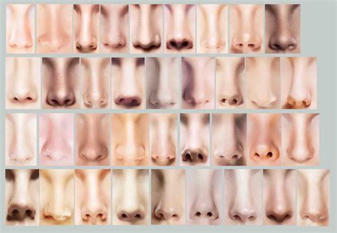 What Makes A Beautiful Nose According To Science Dr Doyle
