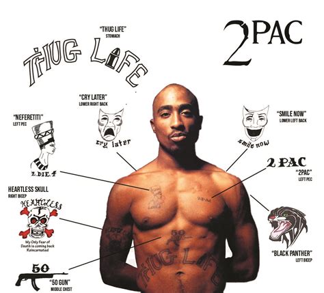 Free 2 Day Shipping On Qualified Orders Over 35 Buy 2pac Temporary