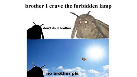 Funny Moth Memesmoth Lamp 2 Youtube