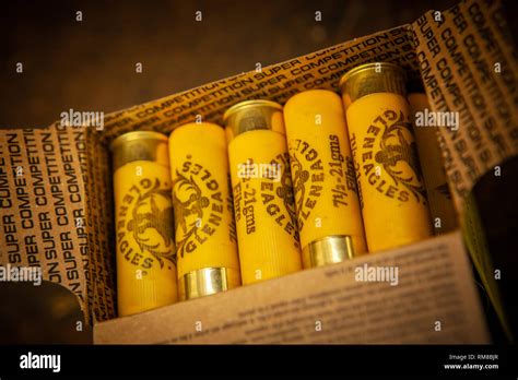12 Gauge Shot Gun Cartridges Hi Res Stock Photography And Images Alamy
