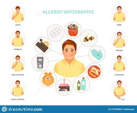 Allergy Infographic Vector Stock Vector Illustration Of Edema 137796285
