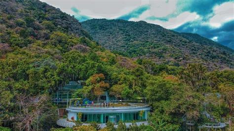 Tamaulipas Reserva De La Biósfera El Cielo Abre Sus Puertas Grupo