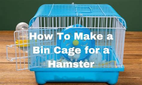 How To Make A Bin Cage For A Hamster HamstersInfo Com