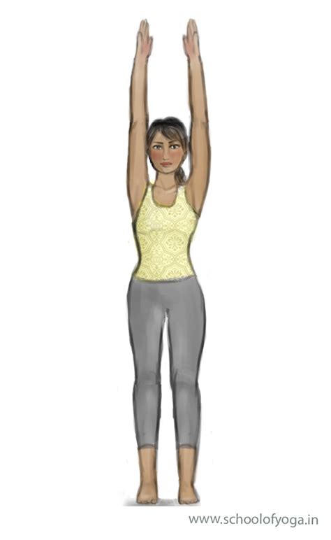 Tadasana – Mountain Pose – School of Yoga