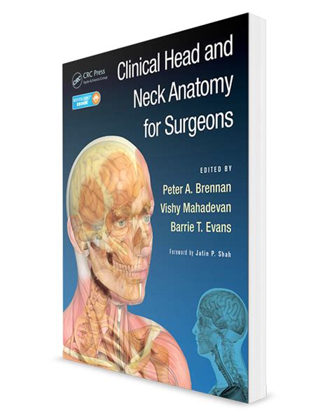 Clinical Head And Neck Anatomy For Surgeons Archidemia