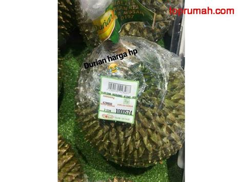 Hanya saja jika anda berminat untuk mencicipi buah durian musang king, di indonesia anda akan sulit menemukannya. Kavling Durian Musang King Harga Istimewa di Cianjur ...