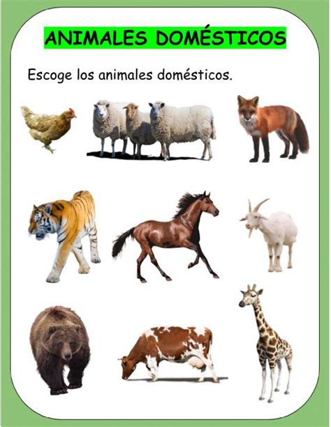 El Blog De 1º Primaria Animales DomÉsticos Y Salvajes