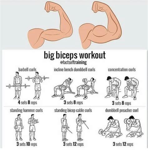 Pin By Javier González Vidal On Muscle And Fitness Big Biceps Workout
