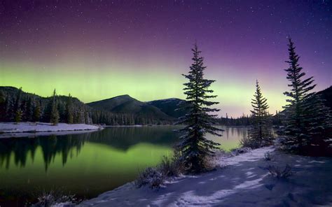 Wallpaper Beautiful Northern Lights Mountains Trees Sky