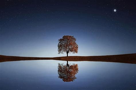 شجرة ، بحيرة ، انعكاس ، ماء ، هدوء ، مشهد هادئ ، سماء الليل ، النجوم
