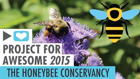 Save The Bees Pollinator Conservation Youtube