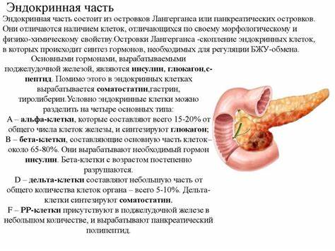 Поджелудочная лекарства диета Поджелудочная Железа Симптомы Заболевания Диета Лечение – Telegraph Поджелудочная Железа Симптомы Заболевания Диета Лечение – Telegraph Поджелудочная лекарства диета