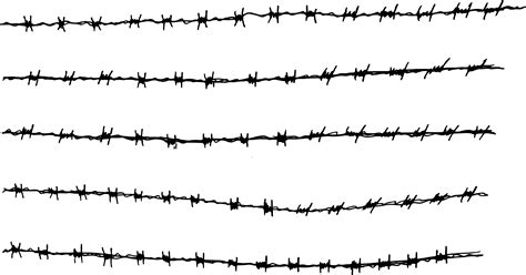 Barbed wire is used as a fencing material that is made as long twisted strands and accentuated at regular intervals with tapering coiled edges. Barbed wire PNG