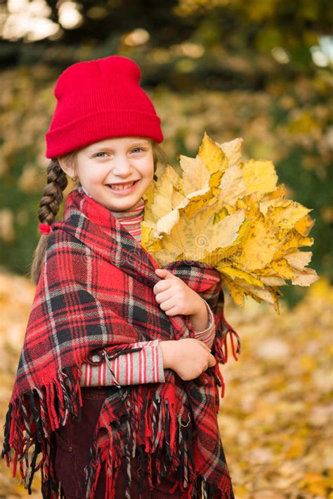 Little Girl In Autumn Park Stock Image Image Of Plant 45937585