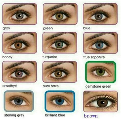 All About The Human Eye Color Chart Ovo Mod Fashion Eye Colour Chart