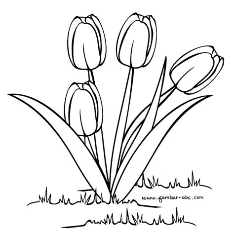 Mewarnai Bunga Tulip Flower Coloring Pages Coloring Pages To Print