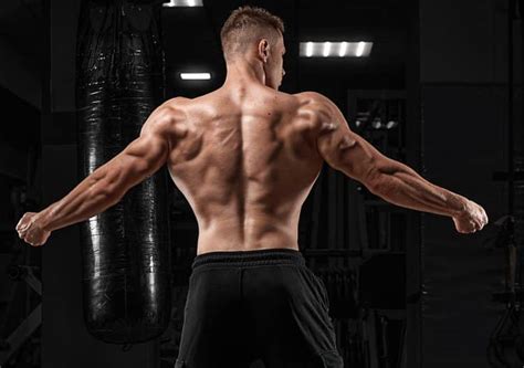 Bodybuilding School How To Flex Your Triceps Fitness Volt